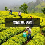 南海影视城 - 辰飞雨和风乐游农庄