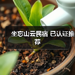 坐忘山云民宿 已认证推荐(图3)