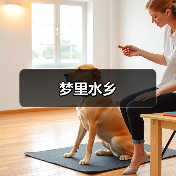 梦里水乡(图3) 梦里水乡(图3)