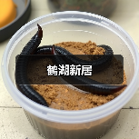 鹤湖新居(图1) 鹤湖新居(图1)