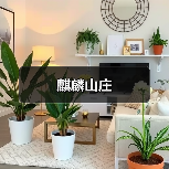 麒麟山庄 - 辰飞雨和风乐游农庄