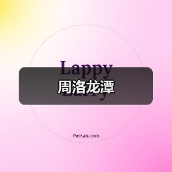 周洛龙潭 - 辰飞雨和风乐游农庄