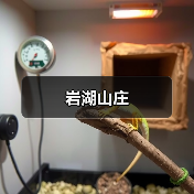 岩湖山庄(图3)