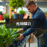 光明蝶谷(图2) 光明蝶谷(图2)