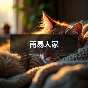 南易人家(图3)