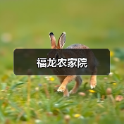 福龙农家院(图3)