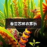 春蕾苏娣农家乐(图1) 春蕾苏娣农家乐(图1)