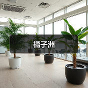 橘子洲(图3)