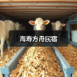 海寿方舟民宿(图1)