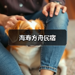 海寿方舟民宿(图3)