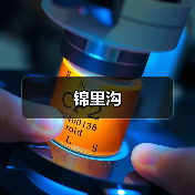 锦里沟(图2) 锦里沟(图2)