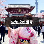 宝趣玫瑰世界(图1) 宝趣玫瑰世界(图1)