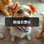 新佳农家乐 - 辰飞雨和风乐游农庄