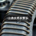 山清水秀农家乐(图2)