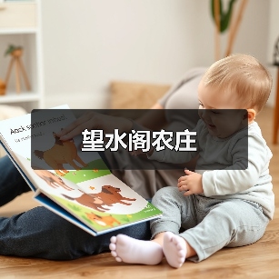 望水阁农庄 - 辰飞雨和风乐游农庄