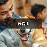 云雾山(图2) 云雾山(图2)