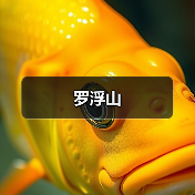 罗浮山(图1) 罗浮山(图1)