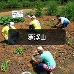 罗浮山(图4) 罗浮山(图4)