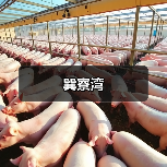 巽寮湾(图2) 巽寮湾(图2)