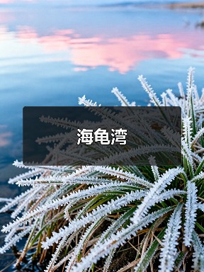 海龟湾(图4) 海龟湾(图4)
